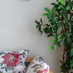 Miedzynarodowe Schronisko Mlodziezowe Ptsm Szarotka