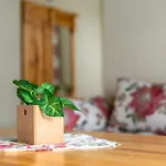 Hostal Miedzynarodowe Schronisko Mlodziezowe Ptsm Szarotka Zakopane