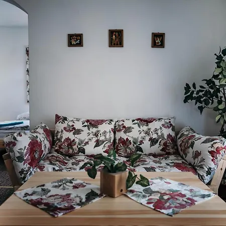 Miedzynarodowe Schronisko Mlodziezowe Ptsm Szarotka Hostel Zakopane