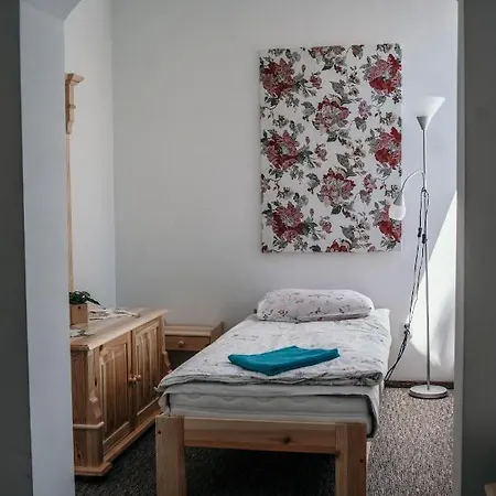 Hostel Miedzynarodowe Schronisko Mlodziezowe Ptsm Szarotka Zakopane