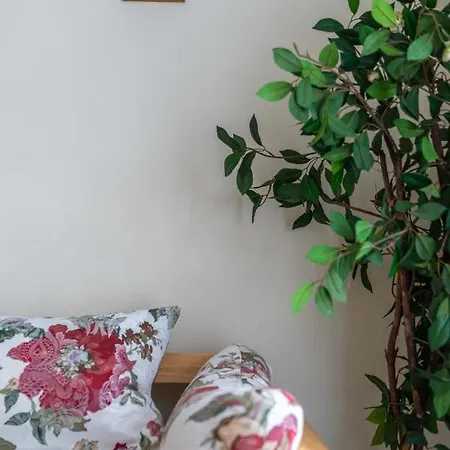 Miedzynarodowe Schronisko Mlodziezowe Ptsm Szarotka