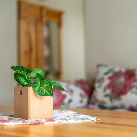 旅馆 Miedzynarodowe Schronisko Mlodziezowe Ptsm Szarotka 扎科帕内