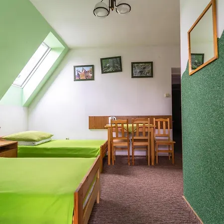 Miedzynarodowe Schronisko Mlodziezowe Ptsm Szarotka Auberge de jeunesse Zakopane