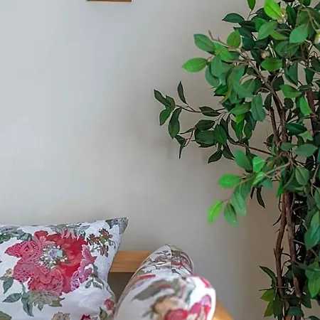 Hostal Miedzynarodowe Schronisko Mlodziezowe Ptsm Szarotka Zakopane