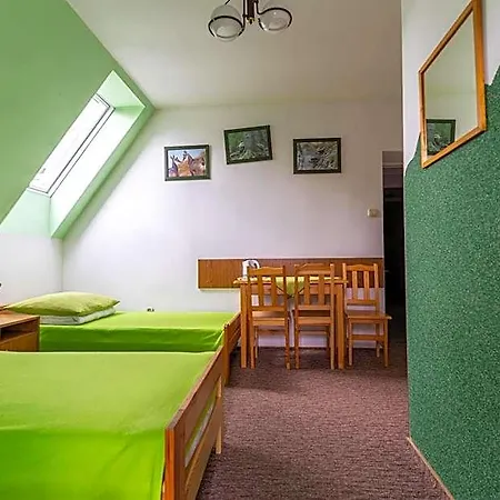 Miedzynarodowe Schronisko Mlodziezowe Ptsm Szarotka Hostal Zakopane