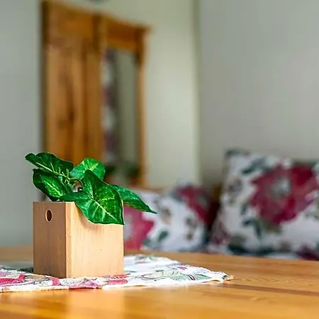 Hostal Miedzynarodowe Schronisko Mlodziezowe Ptsm Szarotka Zakopane