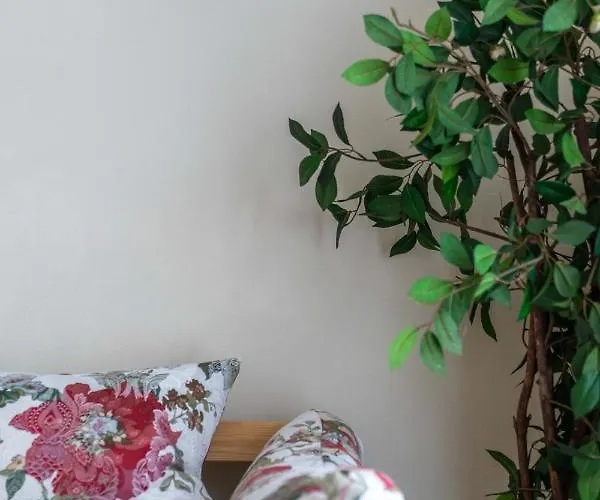 Miedzynarodowe Schronisko Mlodziezowe Ptsm Szarotka