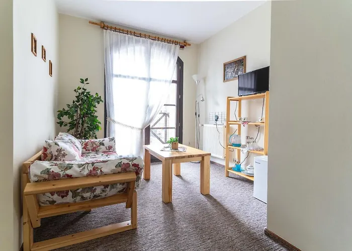 Miedzynarodowe Schronisko Mlodziezowe Ptsm Szarotka ホステル ザコパネ