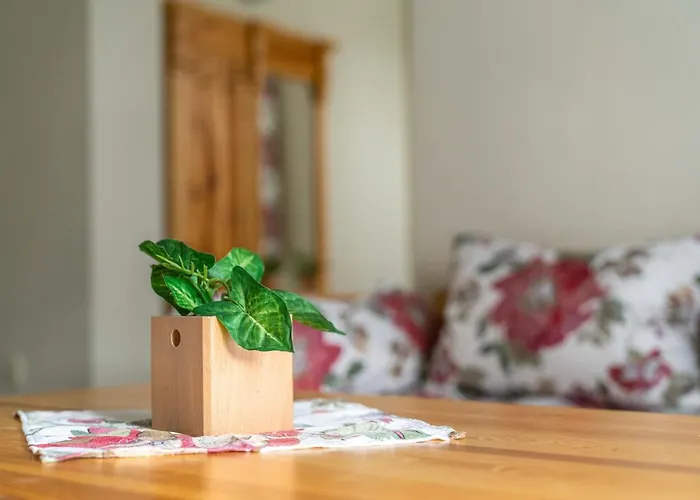 ホステル Miedzynarodowe Schronisko Mlodziezowe Ptsm Szarotka ザコパネ