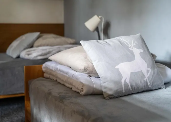 Miedzynarodowe Schronisko Mlodziezowe Ptsm Szarotka *