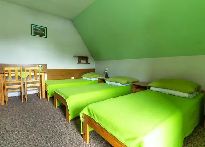 Miedzynarodowe Schronisko Mlodziezowe Ptsm Szarotka * ザコパネ