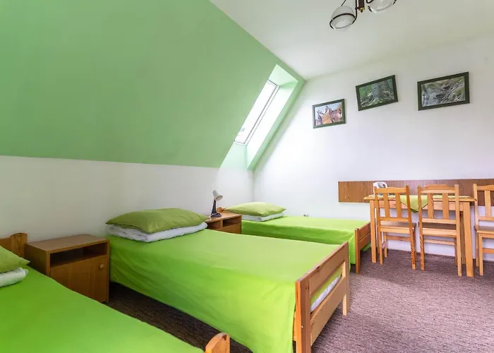 Miedzynarodowe Schronisko Mlodziezowe Ptsm Szarotka *