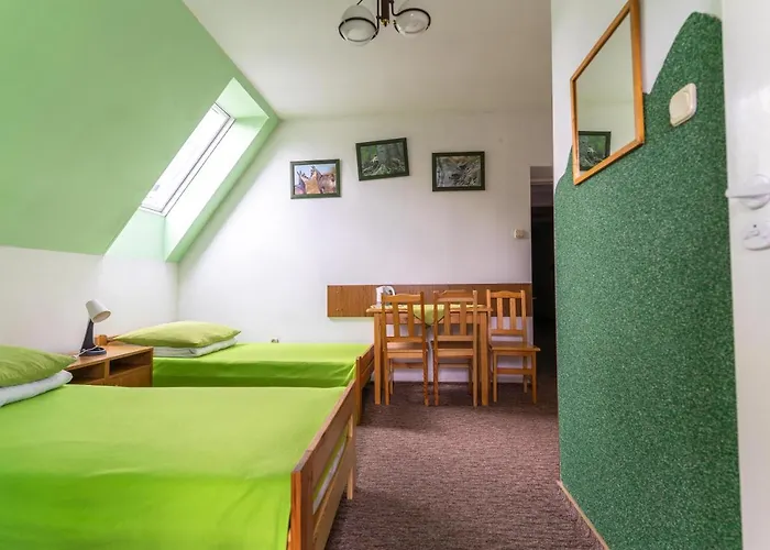 Miedzynarodowe Schronisko Mlodziezowe Ptsm Szarotka ホステル ザコパネ