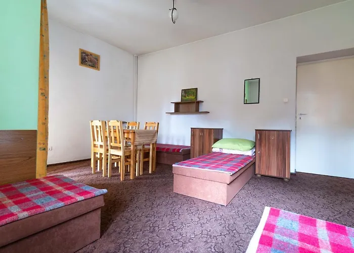 Miedzynarodowe Schronisko Mlodziezowe Ptsm Szarotka * ザコパネ