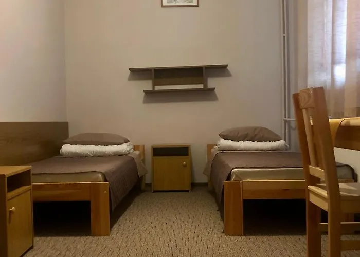 Miedzynarodowe Schronisko Mlodziezowe Ptsm Szarotka * ザコパネ