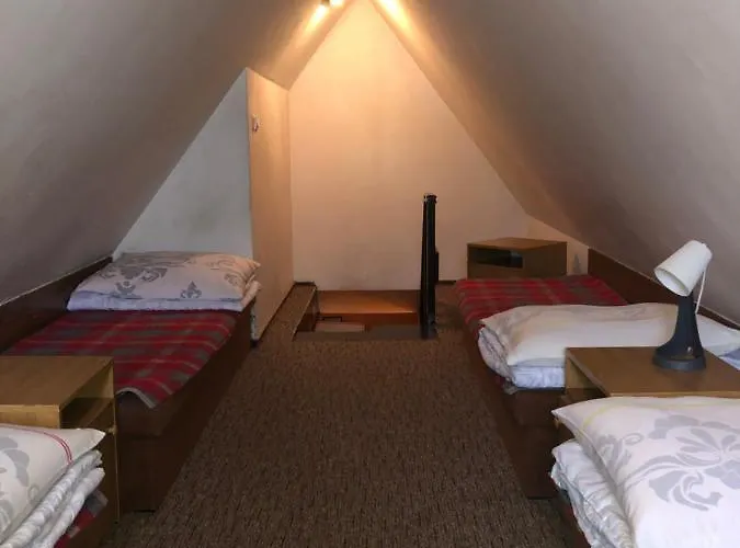 Miedzynarodowe Schronisko Mlodziezowe Ptsm Szarotka ザコパネ